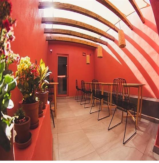Lu De Anda Hotel Boutique San Luis Potosí Exteriér fotografie